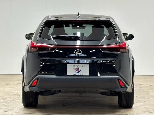 Lexus UX 25