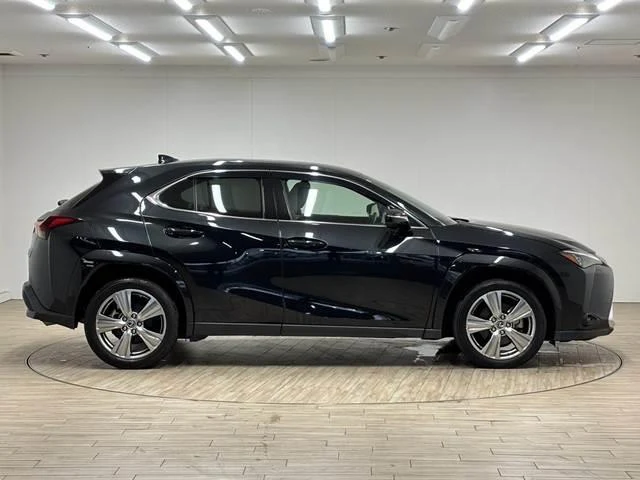 Lexus UX 17
