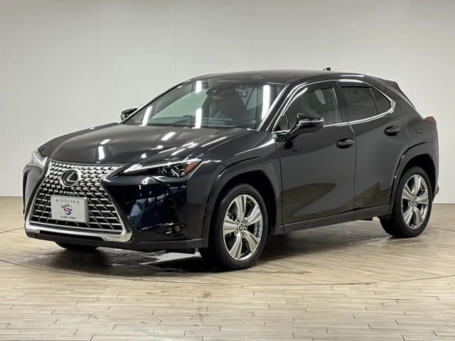 Lexus UX 21