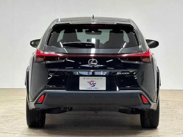 Lexus UX 15