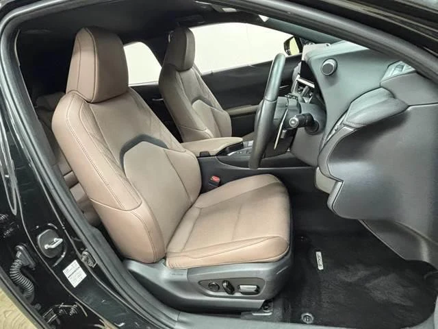 Lexus UX 10