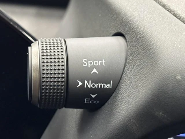 Lexus UX 51