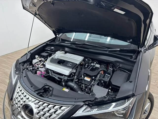 Lexus UX 13