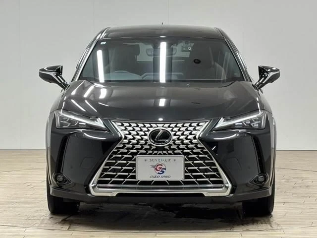 Lexus UX 14