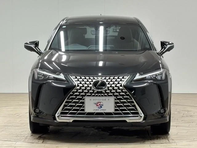 Lexus UX 67
