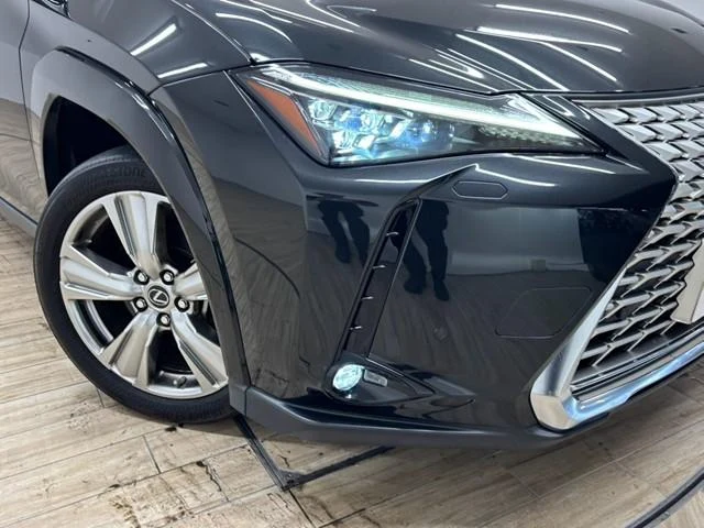 Lexus UX 69