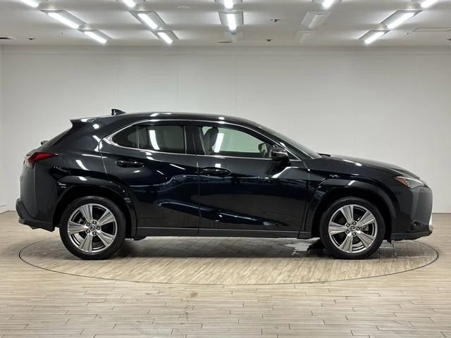 Lexus UX 23