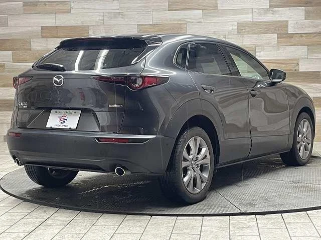 Mazda CX-30 XD 66