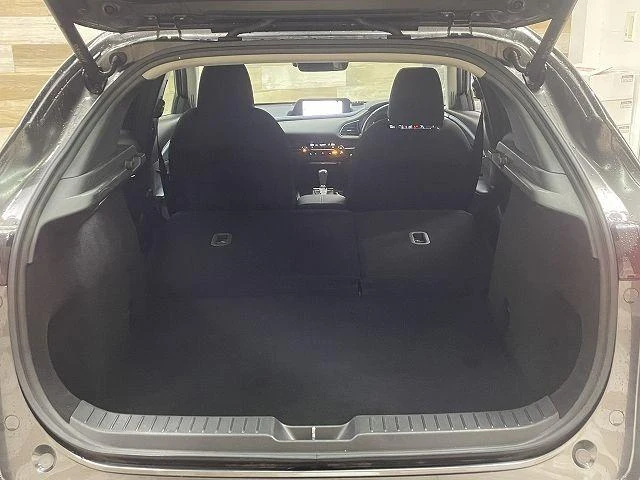 Mazda CX-30 XD 55