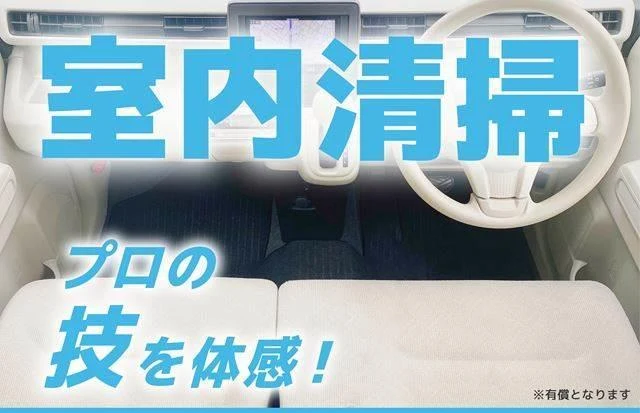 Daihatsu HIJET 55
