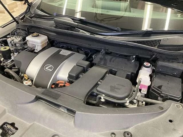 Lexus RX 21