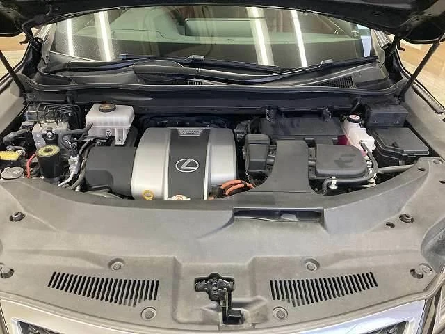 Lexus RX 13