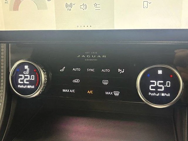 Jaguar F-PACE 43
