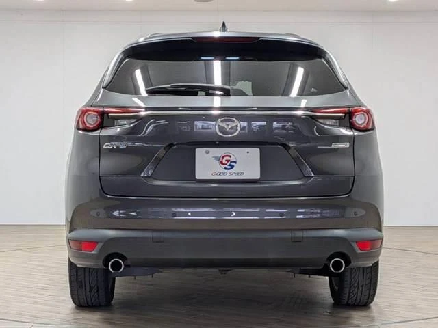 Mazda CX-8 16