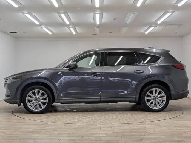 Mazda CX-8 17