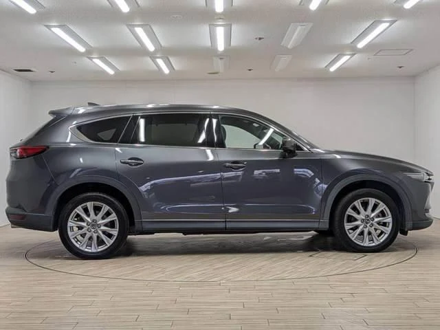 Mazda CX-8 18