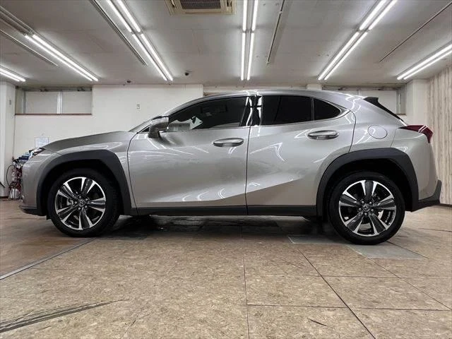 Lexus UX 18