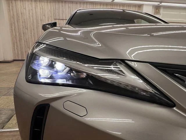 Lexus UX 26