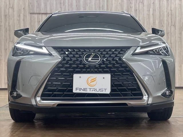Lexus UX 13