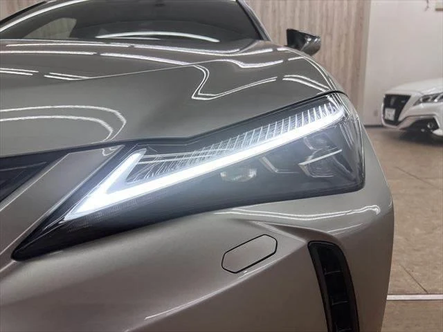 Lexus UX 19
