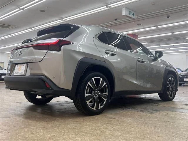 Lexus UX 17