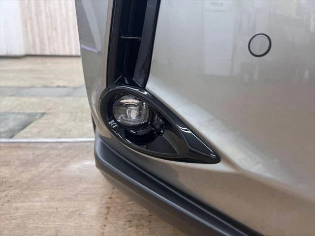Lexus UX 22