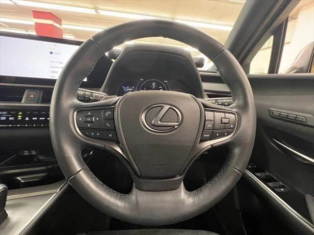 Lexus UX 9