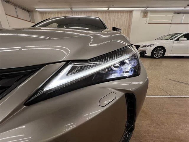 Lexus UX 10