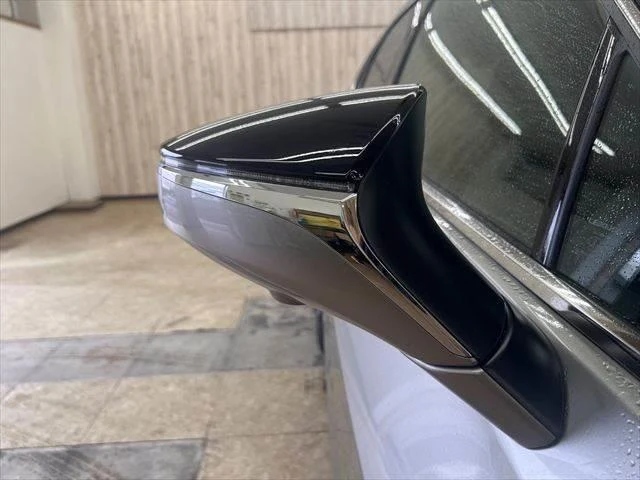 Lexus UX 29
