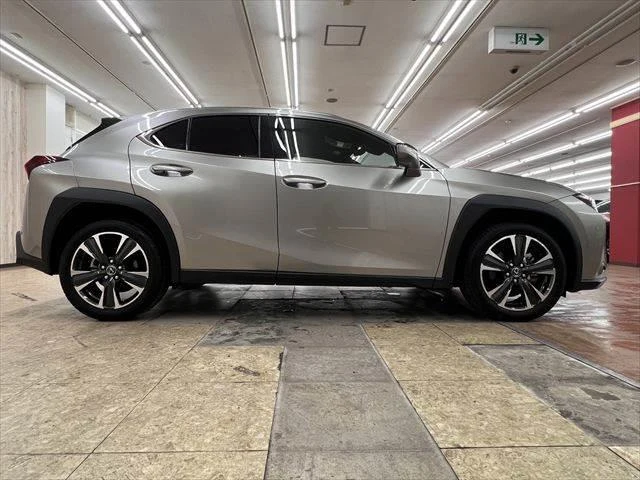 Lexus UX 15