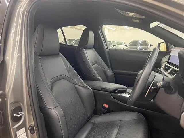 Lexus UX 6