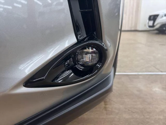 Lexus UX 21