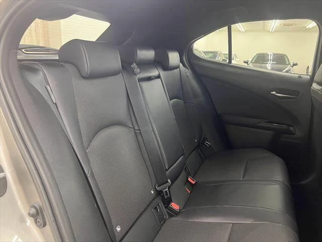 Lexus UX 7