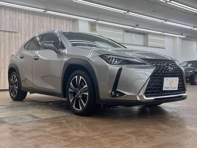 Lexus UX 14