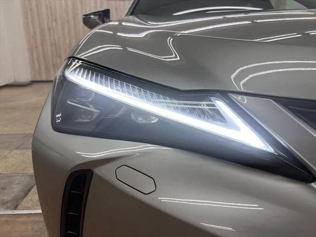 Lexus UX 20