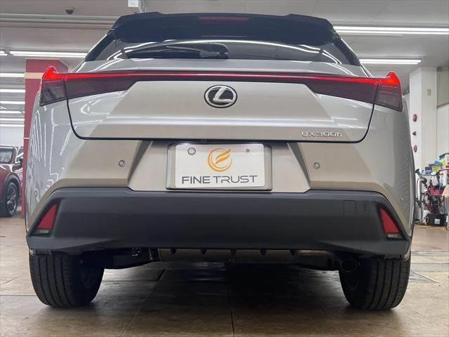 Lexus UX 16