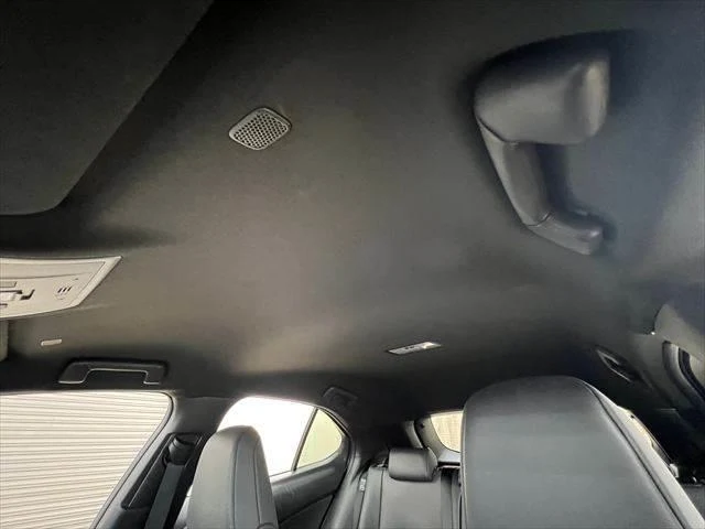 Lexus UX 47