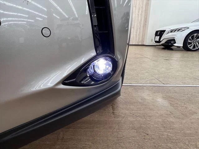 Lexus UX 11